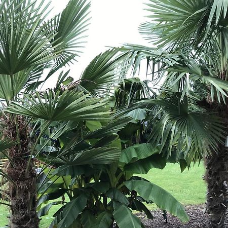 Ferienwohnung Palmengarten Lichtenstein  Екстериор снимка
