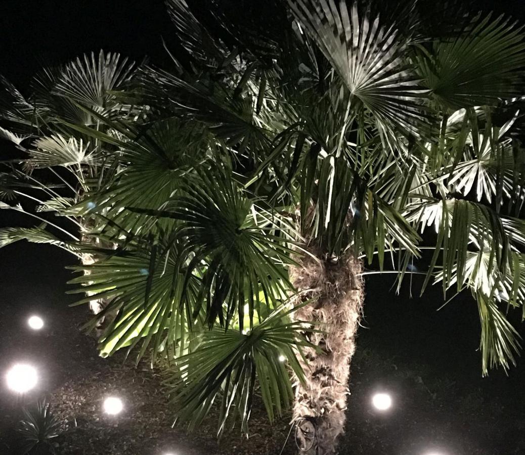 Ferienwohnung Palmengarten Lichtenstein  Екстериор снимка