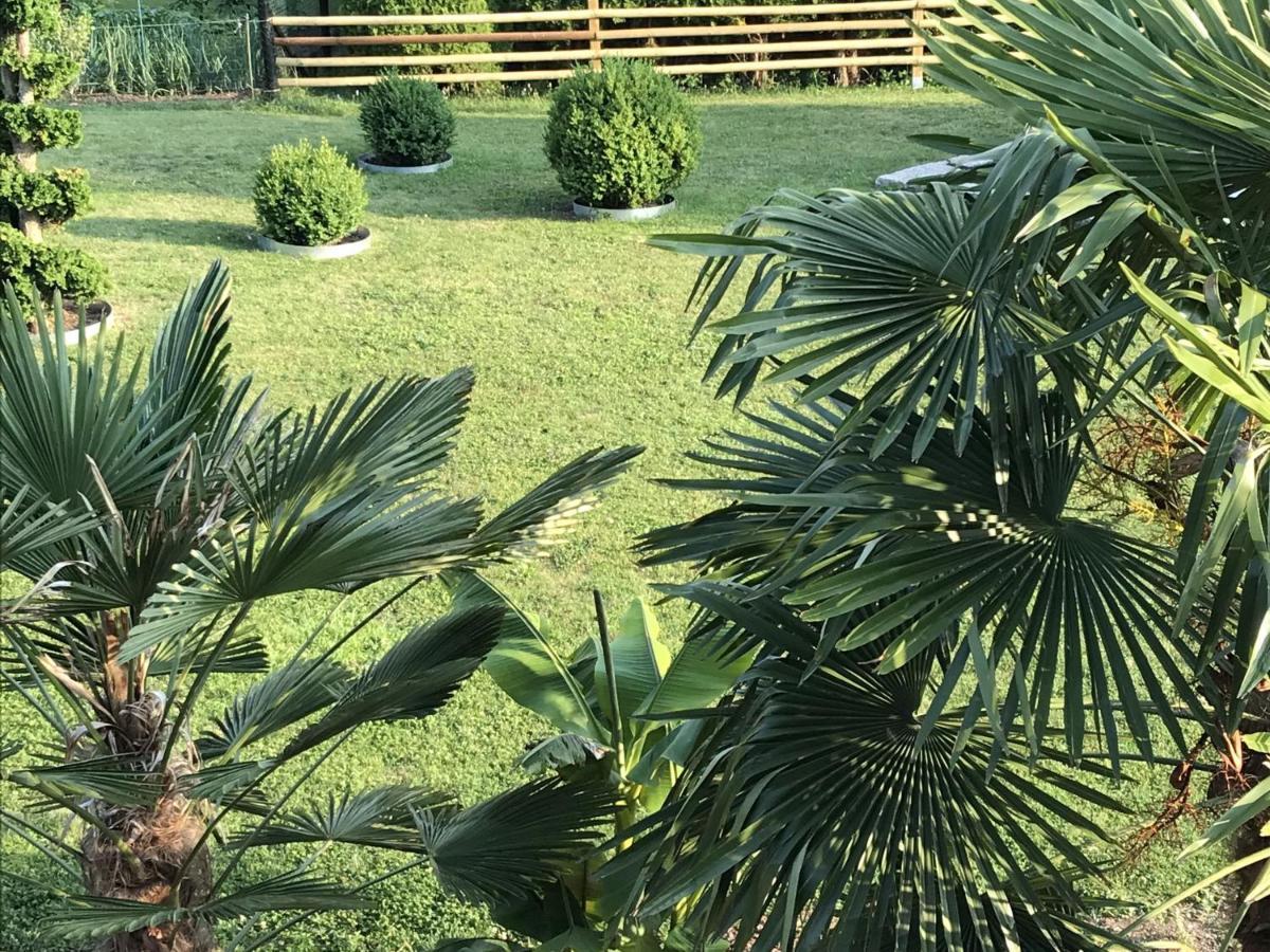 Ferienwohnung Palmengarten Lichtenstein  Екстериор снимка