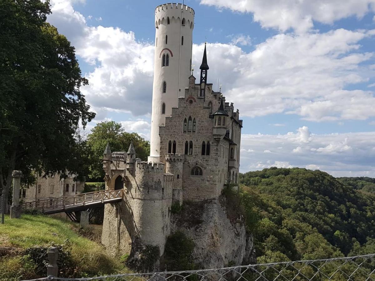 Ferienwohnung Palmengarten Lichtenstein  Екстериор снимка