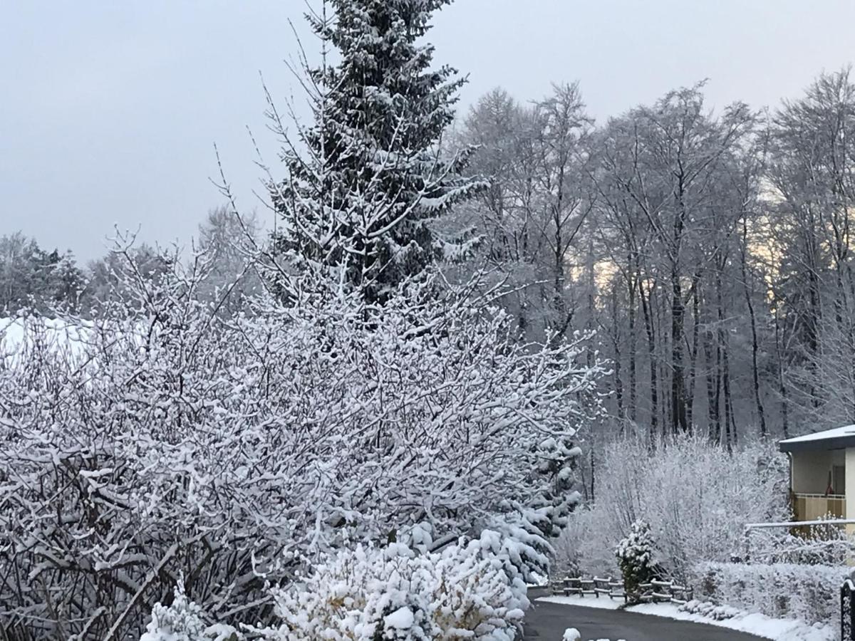 Ferienwohnung Palmengarten Lichtenstein  Екстериор снимка