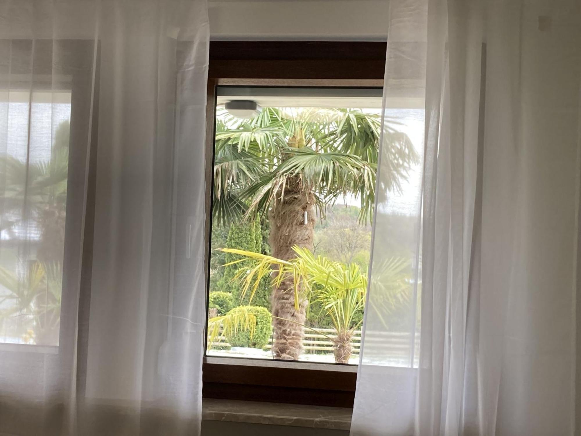 Ferienwohnung Palmengarten Lichtenstein  Екстериор снимка